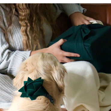 Reusable Gift Bow  - Velvet Green